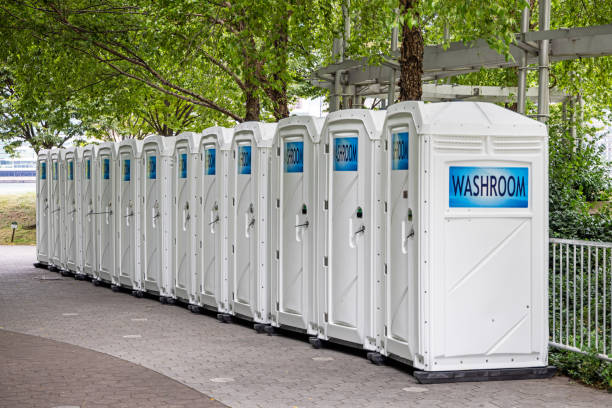 Types of Portable Toilets We Offer in Muhlenberg Park, PA